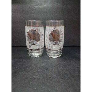 Anchor Hocking Butterfly‎ Rose Tumblers, 16 oz Vtg Glasses, Set of 2, Drinkware